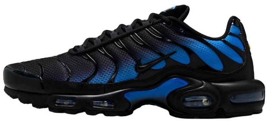 Nike Air Max Plus Black Blue Crystal for Sale | Authenticity