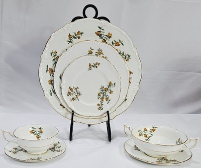 VINTAGE Royal Cauldon England Barberry Pattern Bone China 84 pc Service for 12