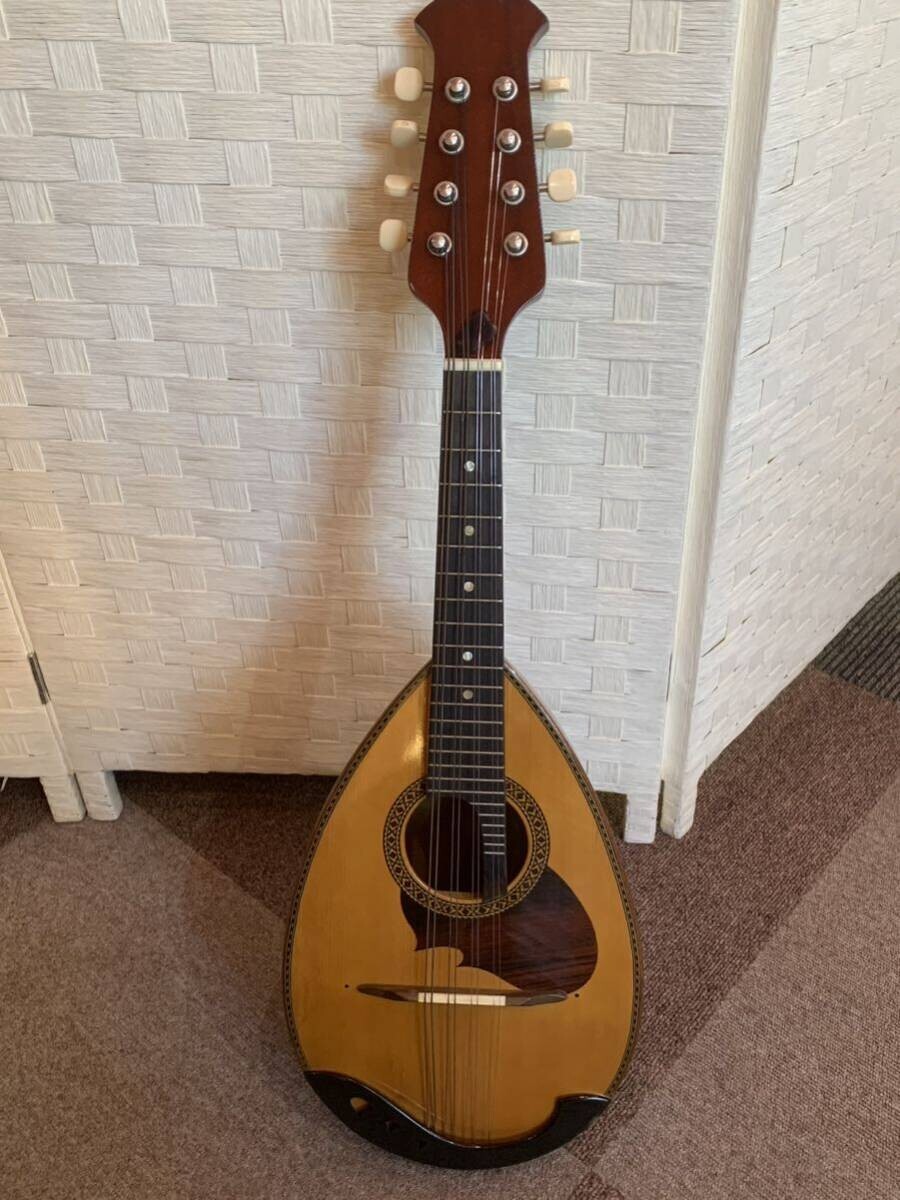 Suzuki Mandolin M-210 Brown Bowlback Entry Model violin | eBay