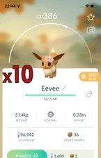 10x Eevee w Flowers 2023 Pokemon Bundle ! Good Chance of Lucky and Good IVs ! Go