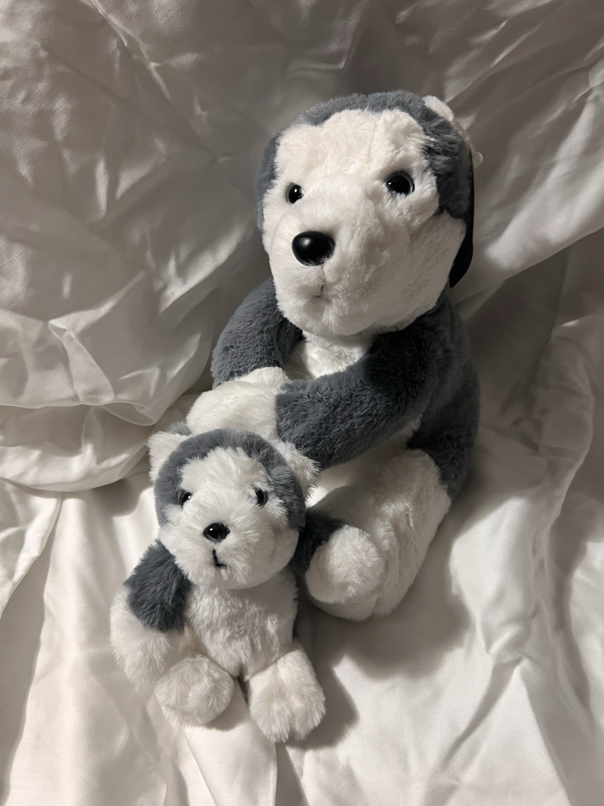 FAO Schwarz Husky 10