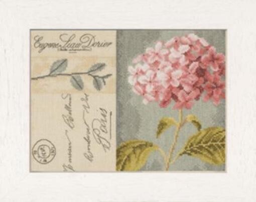 "hydrangea". Embroidery Kit. Unprinted Сanvas Lanarte
