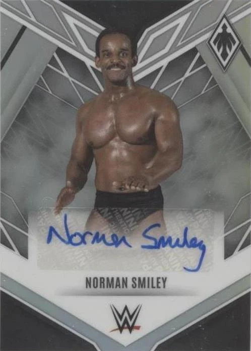 2023 Panini Chronicles WWE - Norman Smiley #PA-SMI for sale | eBay