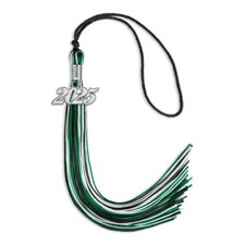 Endea Graduation Black/Green/White Mixed Color Tassel with Silver Date Drop