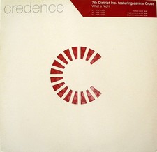 7th District Inc. Featuring Janine Cross - What A Night (12", Promo)