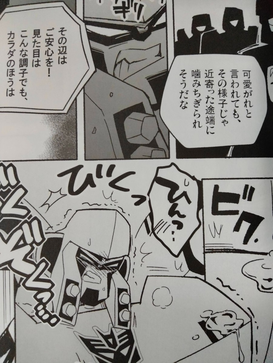 Transformers Doujinshi Megatron main (B5 74pages) Circle Kay