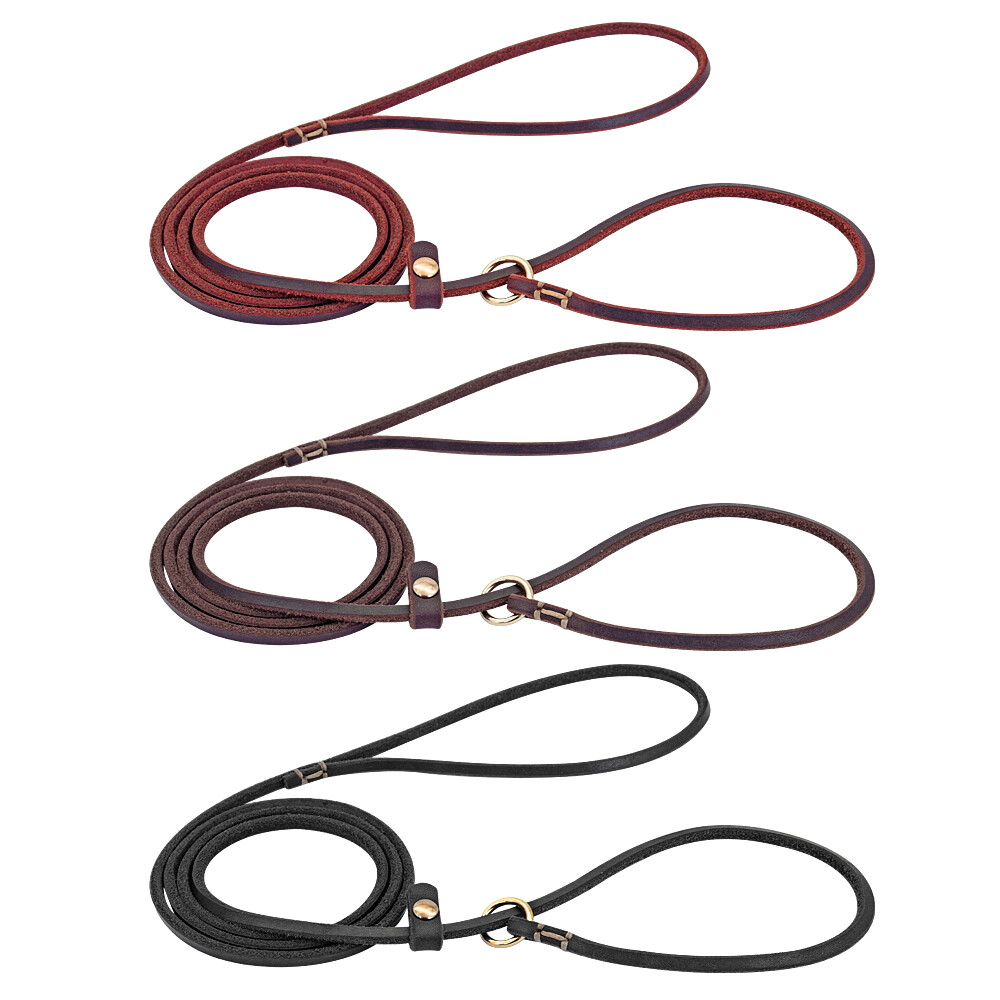 Dog Leather Slip Leash Lead Training Choke Collar Adjustable Loop for
