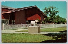 URI Kingston Student Union Building Ram Mascot Postcard Anscochrome AA994