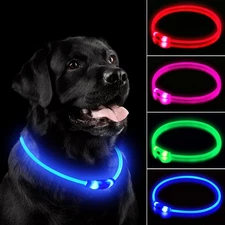 LED Dog Collar, Rechargeable Light Up 1 Count (Pack of 1), Blue 