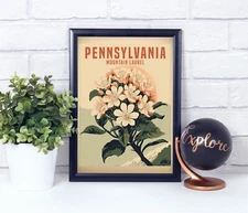 Mountain Laurel, Pennsylvania, Vintage Retro Style Flower, Poster Print