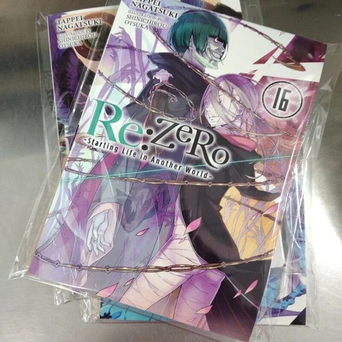 Re:Zero-Starting Life in Another World English Light Novel Vol. 1-26 lose - Bild 13 von 46