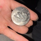 Sliver Dollar — photo 8