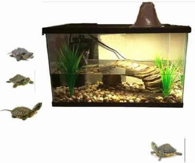 Aquatic Turtle Habitat Aquarium XL Reptile Complete Water Kit Set ...