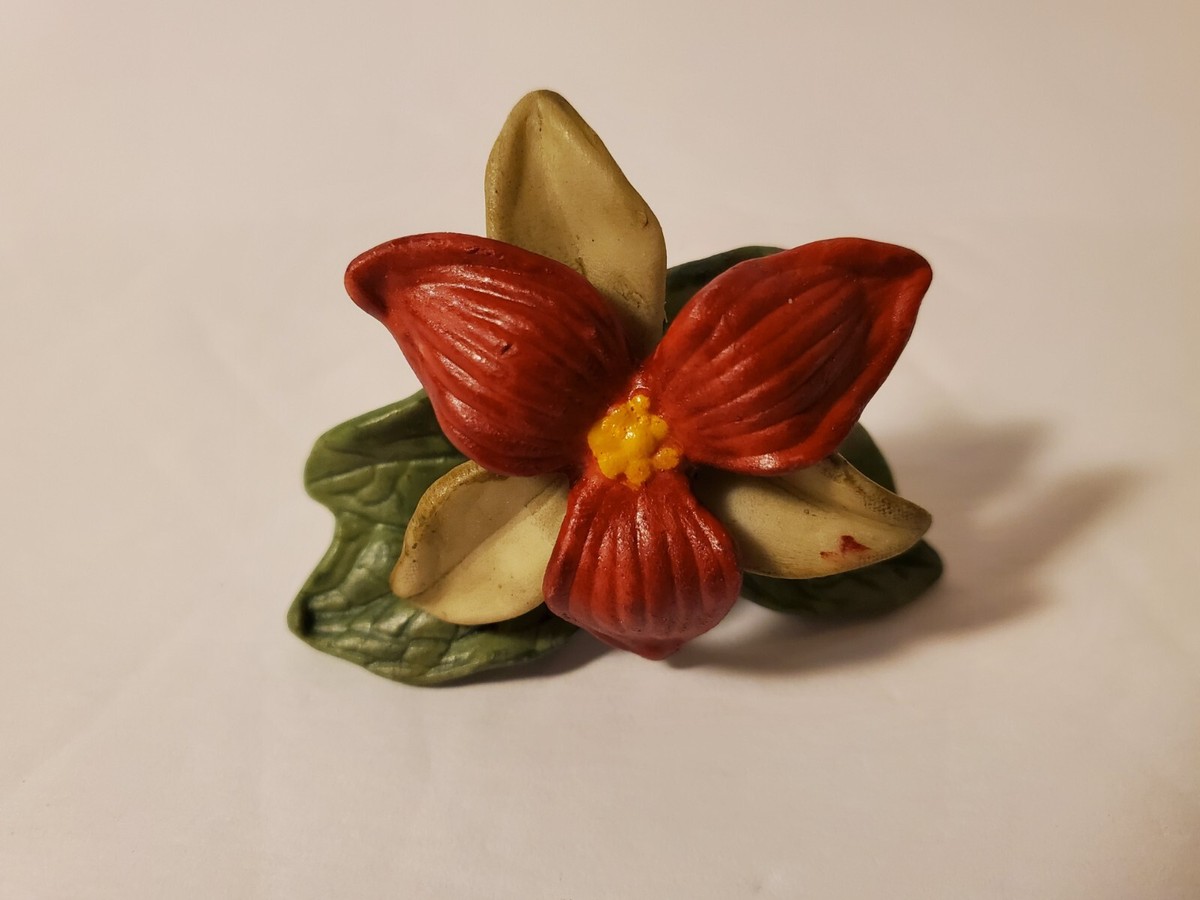 Flowers Cornwall Ontario Canada Best Flower Site