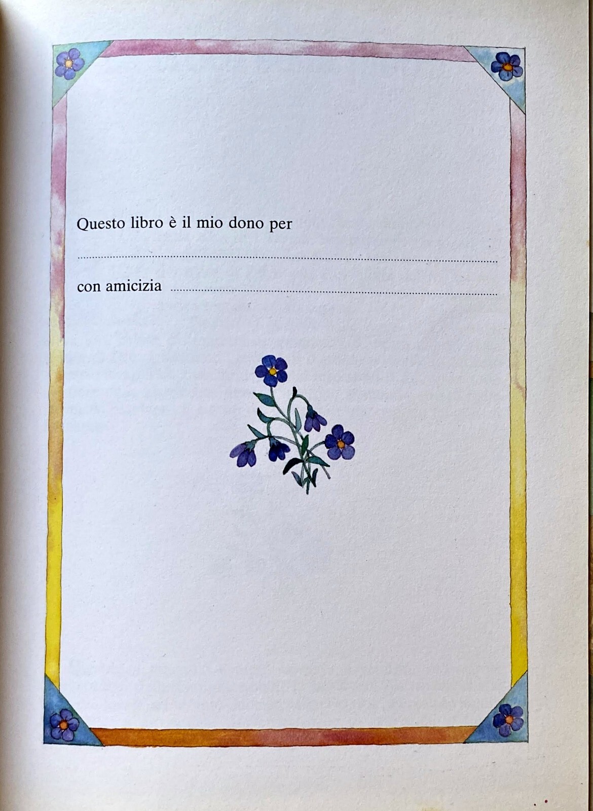 Foto 6 di 19