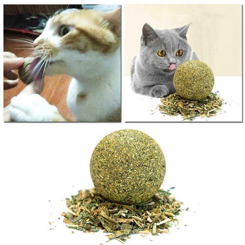 Cat Snack Catnip Ball Lick Nutrition Ball Molar Cat Cleaning Snacks B5L0.AU - Picture 10 of 11
