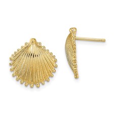 14K Yellow Gold Scallop Shell Shape Stud Earrings L 14.75mm, W 14.15mm