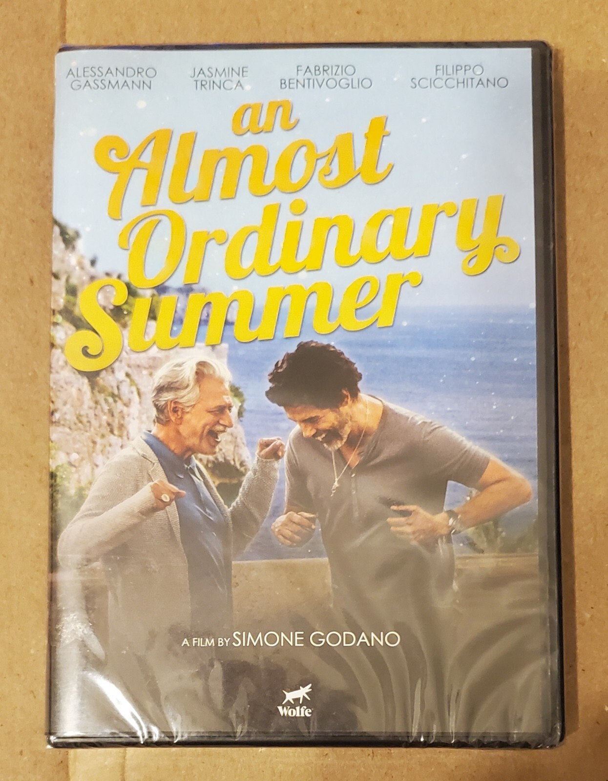 An Almost Ordinary Summer (DVD, 2019) for sale online eBay