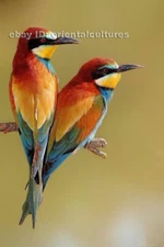 Chinese 100% real natural silk thread,su hand embroidery kits:birds 12"