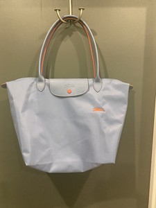 longchamp inner bag