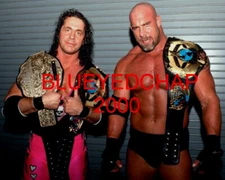 BRET HART & GOLDBERG WRESTLER 8 X 10 WRESTLING PHOTO WWF WCW