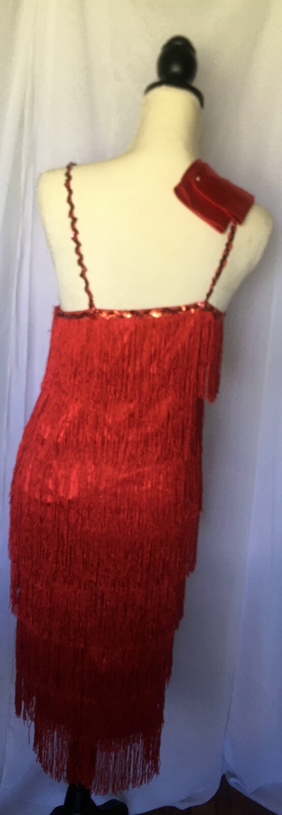 Fun, Jazzy 1920s Flapper Fringe Dress W/Gloves Cosplay/Halloween
