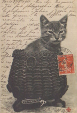*  Retro  Kunstkarte  VINTAGE  *  Katze  **  Cat       postcard # 1