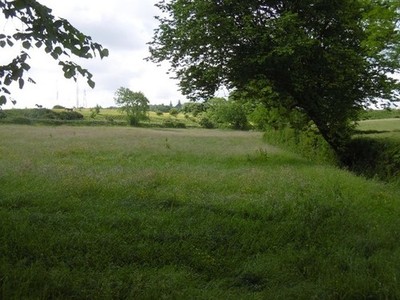 Photo 6x4 Field off Springhill Road Barrhead Grass crop south of Barrhead c2016