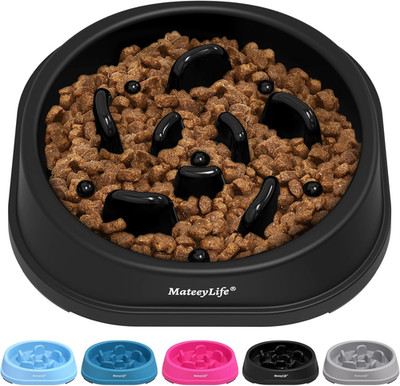Mateeylife Hundenapf, anti Schling Napf Hund Für Kleine Hunde Oder Katzen, Slow 