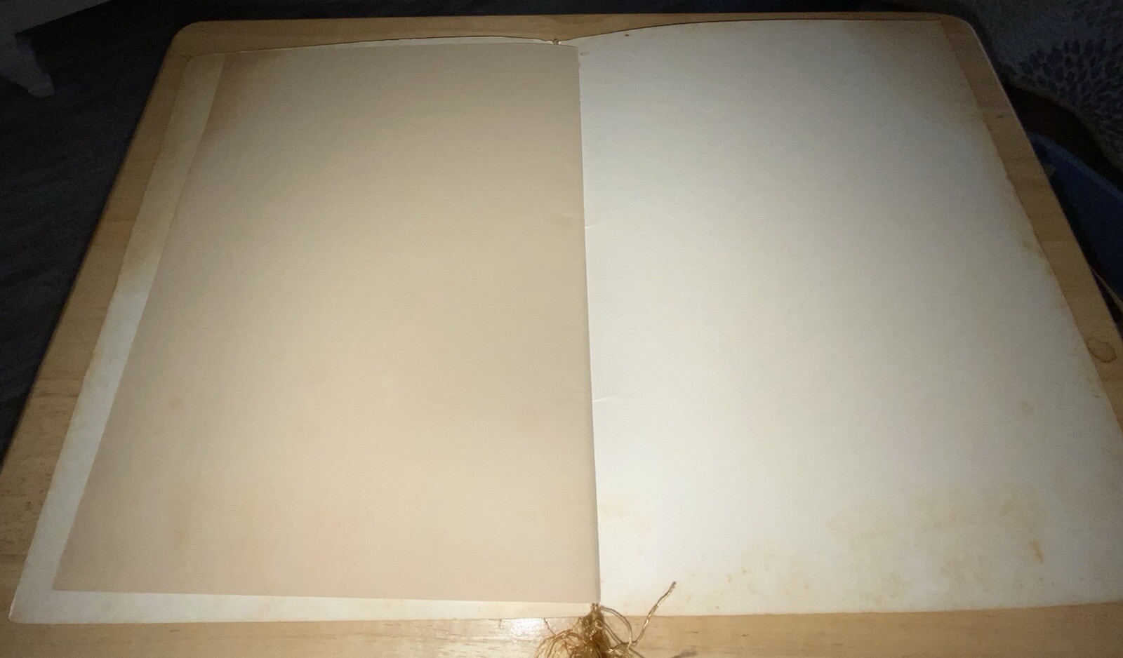 Picture 4 of 5