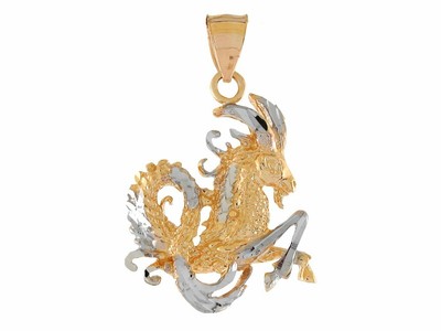 JackAni 10k oder 14k Bicolor Gold Schillernder Steinbock Sternzeichen Anhänger