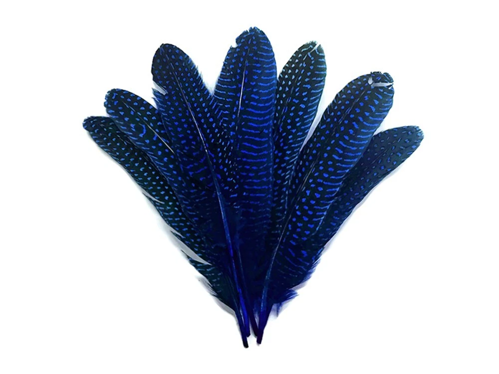 1/8 lb. Royal Blue Polka Dot Guinea Fowl Wing Quills Wholesale Feathers ( Bulk)