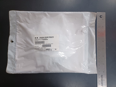 とん OEM Gasket kit, 110286296 Kawasaki | eBay