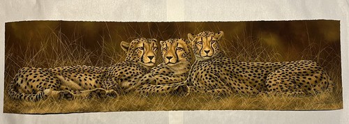 Andrew Bone “The Cheetah Coalition” Giclee in Color Hand Signed COA Unframed