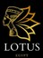 lotusbazaar