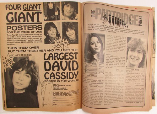 Tiger Beat's Official PARTRIDGE FAMILY Magazine DAVID CASSIDY Feb 1972 SUSAN DEY - Picture 17 of 17