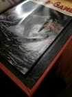 Bild 8 von 12