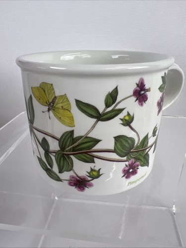Portmeirion Botanic Garden Broom Cytisus Scoparius Drum Coffee Cup & Saucer - Picture 4 of 12