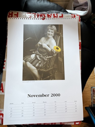 Hermoso Calendario Original Damas de Rylstone WI 2000-2001 Reino Unido Calendario Niñas 2 - Imagen 13 de 16