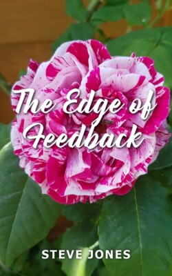 The Edge Of Feedback