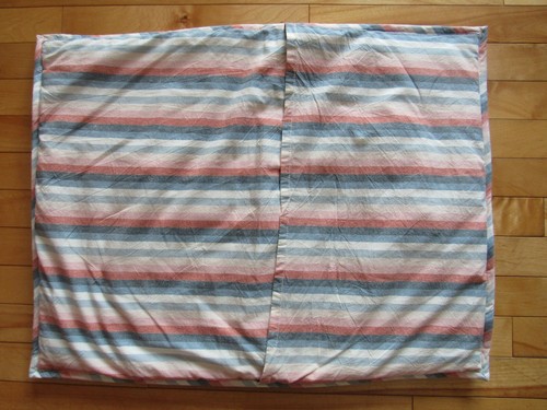 2 Pottery Barn ROXY SUN SOAKED Reversible Pillow Shams Pinks Blues on White - Picture 10 of 11
