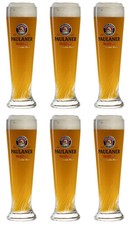 6x Paulaner Weißbier Kunststoff  Glas 0,5l Hefe  Weizen Gläser  Gastro
