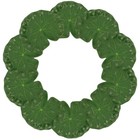 Foto 10 di 12