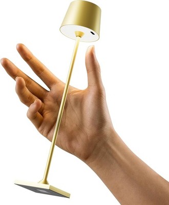 Compact Cordless Table Lamp, Rechargeable LED Night Light, Dual Light Source 