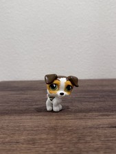 Hasbro Littlest Pet Shop Jack Russel Terrier W/ Green Eyes