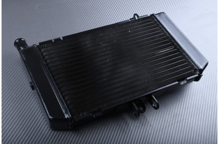 Radiador agua HONDA CB 500 haute dissipation thermique pour roadster PC26