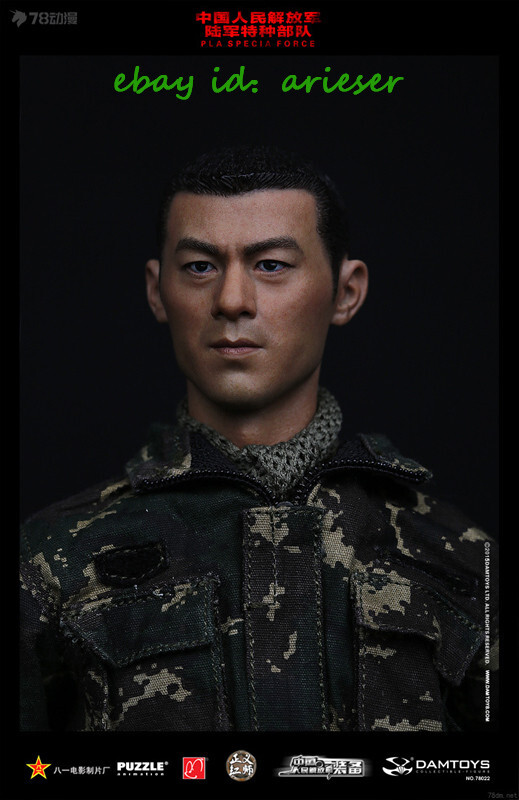 Damtoys 1/6 78022 Chinese People'S Liberation Army Specia Forces