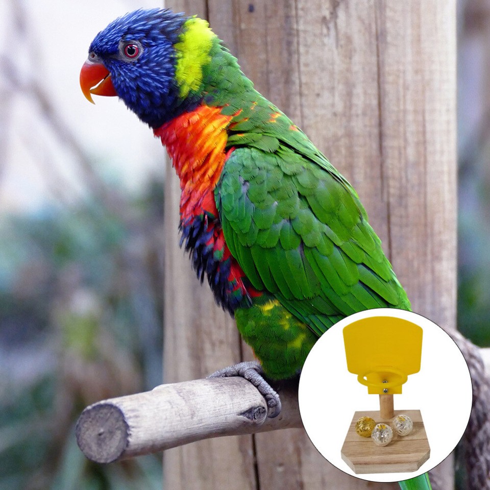 Mini Basket Hoop for Pets Parrot Shot Lightweight Bird Toy Basketball