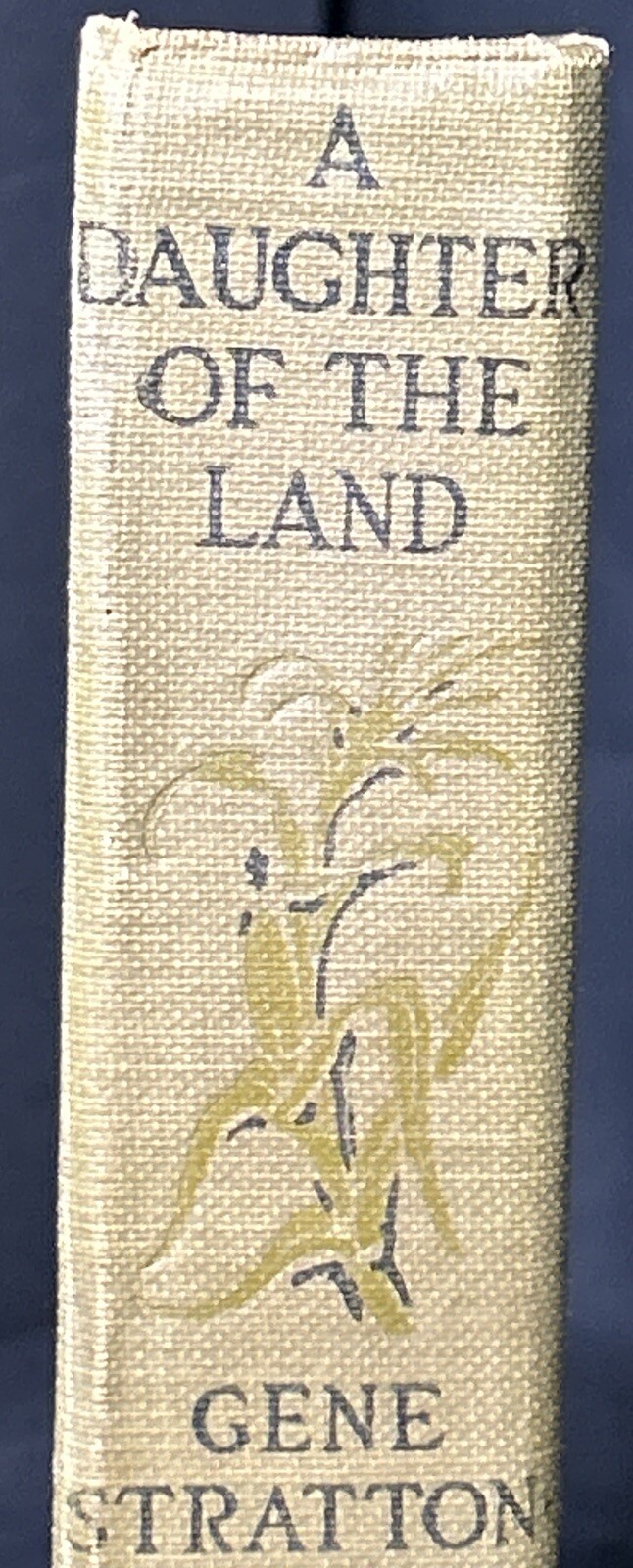 Picture 5 of 19