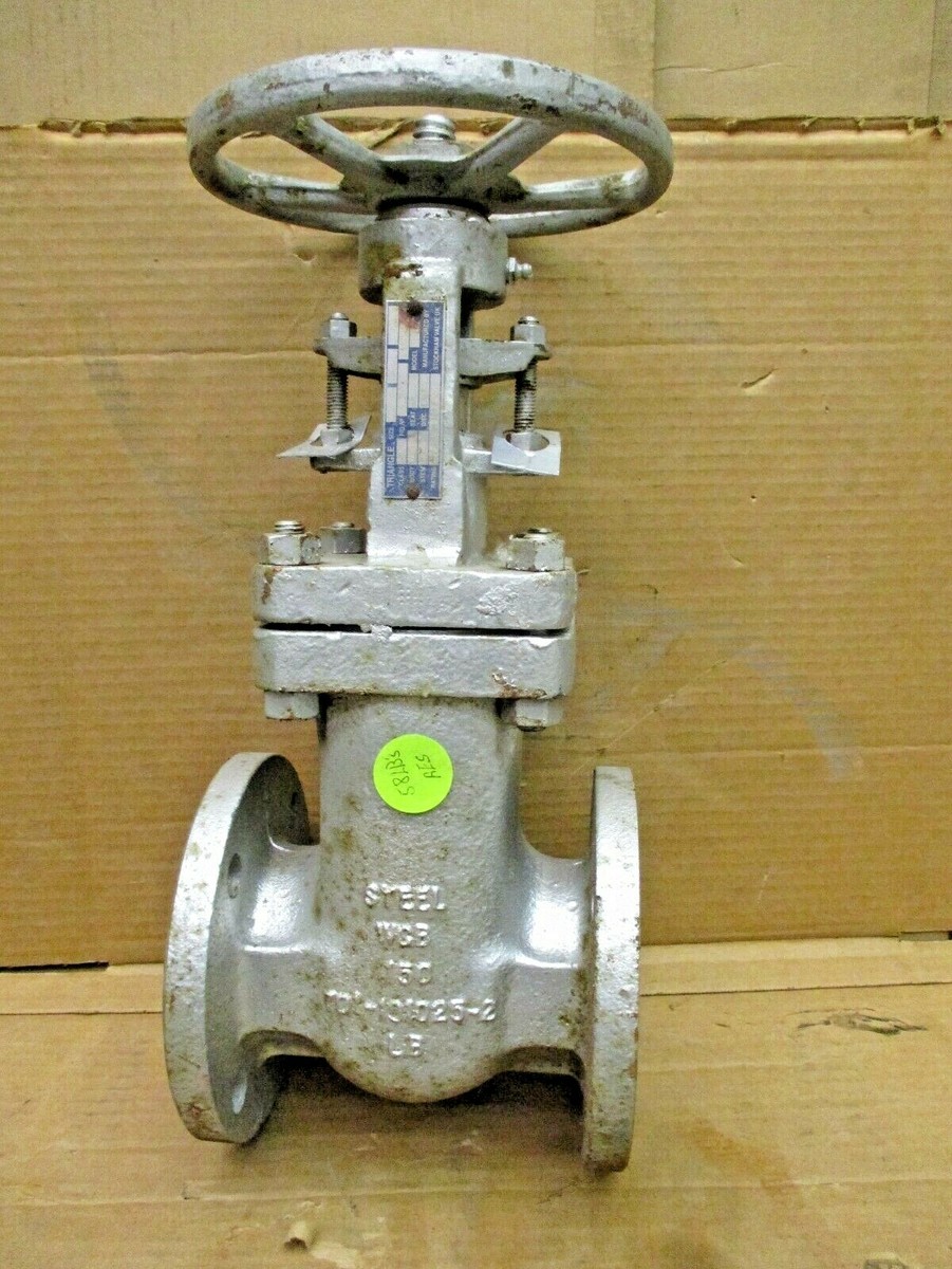 New Open Box Gate Valve Flanged Size 2.5 Class 150 Fig. No. 1822V
